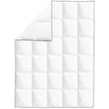 Piumone Invernale Piuma Anatra 135x200 cm Bianco