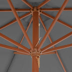 Ombrellone da Esterni con Palo in Legno 300 cm Antracite