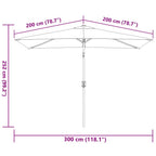Ombrellone con Palo in Metallo 300x200 cm Antracite