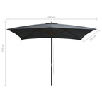 Ombrellone da Esterni con Palo in Legno 200x300 cm Antracite