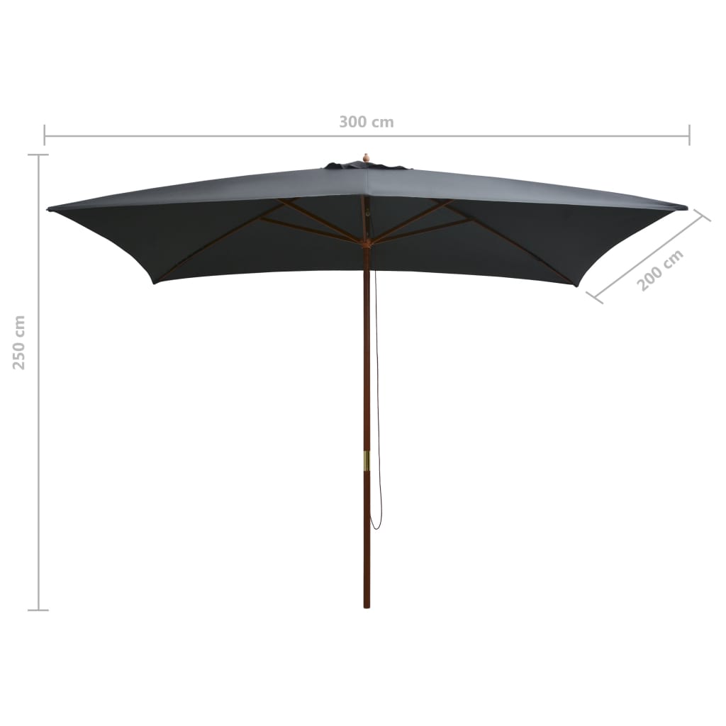 Ombrellone da Esterni con Palo in Legno 200x300 cm Antracite