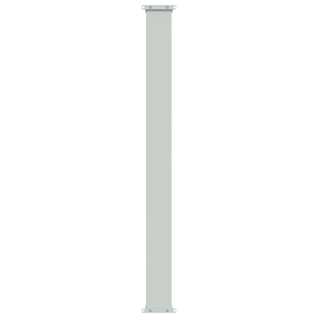 Tenda da Sole Laterale Retrattile 120 x 300 cm Marrone