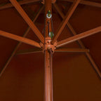 Ombrellone da Giardino con Palo in Legno Terracotta 200x300 cm