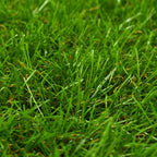 Prato Artificiale 1,33x5 m Altezza 40 mm Verde