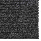 Tappeto Corsia Acchiappa Polvere 100x300 cm Antracite