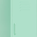 Armadietto Menta 42,5x35x101,5 cm in Acciaio