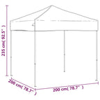 Tenda per Feste Pieghevole Blu 2x2 m