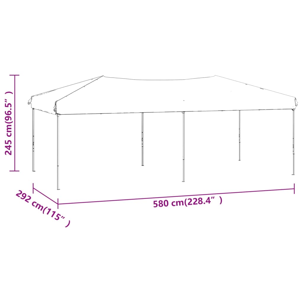 Tenda per Feste Pieghevole Nero 3x6 m