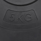 Dischi per Pesi 4 pz 30 kg in Cemento