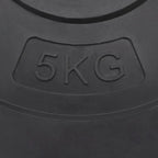 Dischi per Pesi 6 pz 30 kg in Cemento