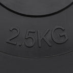 Dischi per Pesi 6 pz 30 kg in Cemento