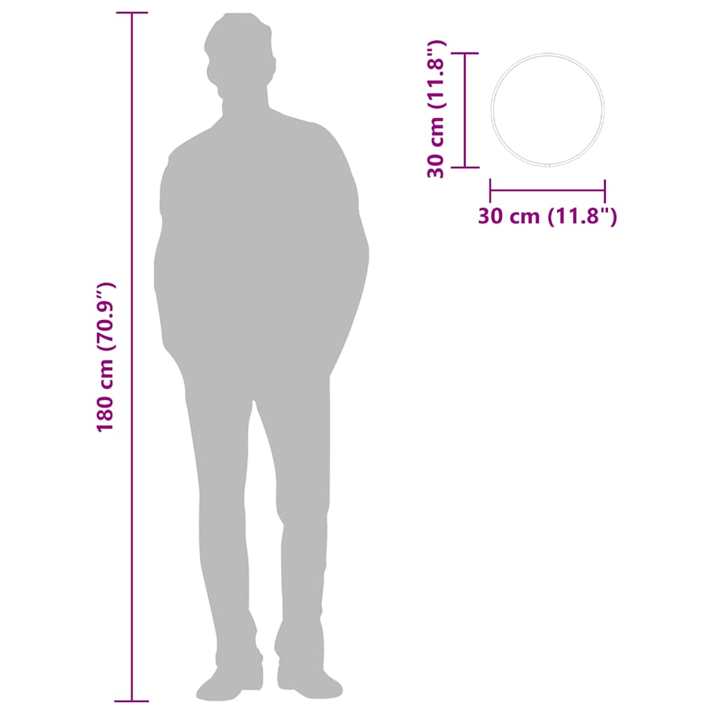 Specchio da Parete Nero Ø 30 cm Rotondo