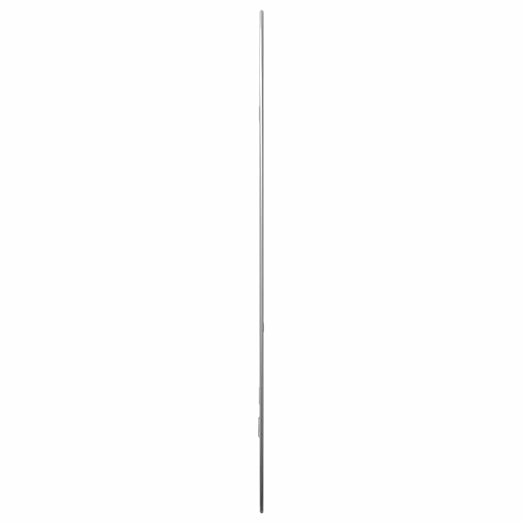 Specchio da Parete Argento 70x45 cm