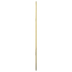 Specchio da Parete Dorato 50x35 cm