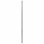 Specchio da Parete Nero 50x35 cm