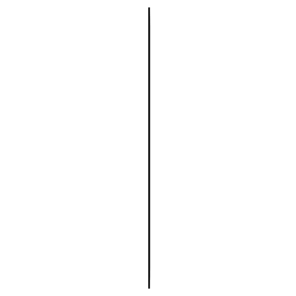 Specchio da Parete 40x80 cm Vetro Rettangolare