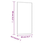 Specchio da Parete 40x80 cm Vetro Rettangolare