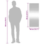 Specchio da Parete 40x100 cm Vetro Rettangolare