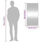 Specchio da Parete 50x100 cm Vetro Rettangolare