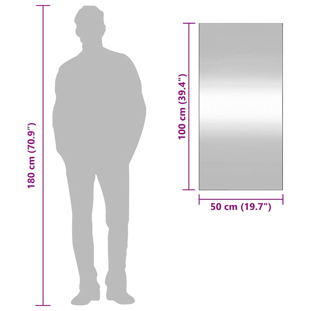 Specchio da Parete 50x100 cm Vetro Rettangolare