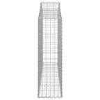 Cesti Gabbioni ad Arco 2 pz 200x30x100/120 cm Ferro Zincato