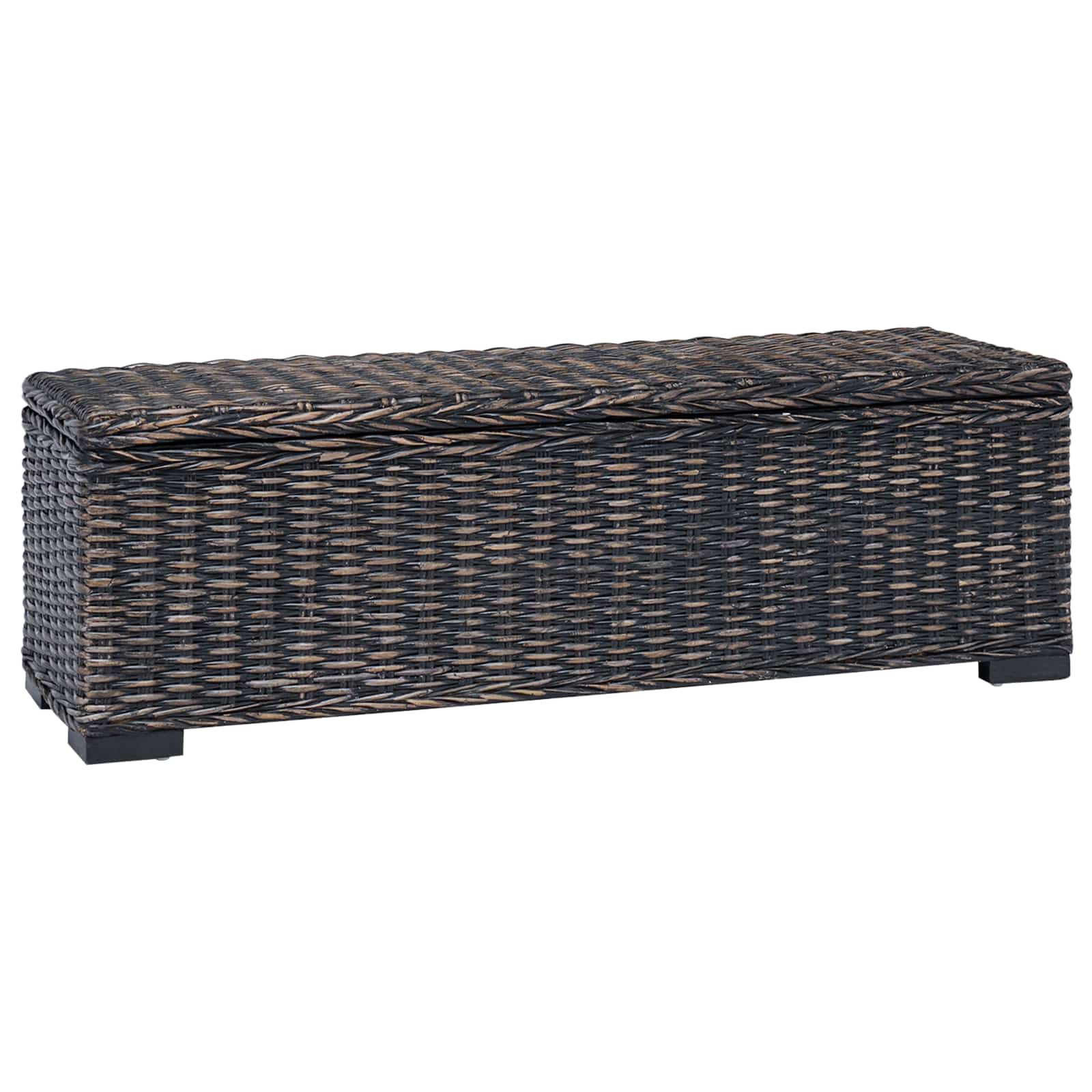 Scatola di Stoccaggio con archiviazione Nero 110 x 35 x 45 cm