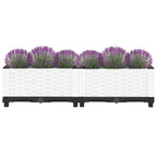 Fioriera Rialzata 80x40x23 cm in Polipropilene