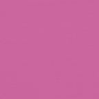 Cuscini per Sedia 2 pz Rosa 50x50x7 cm in Tessuto Oxford