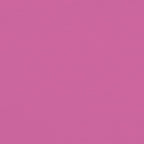 Cuscini per Sedia 6 pz Rosa 50x50x7 cm in Tessuto Oxford