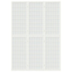 Divisorio Pieghevole 3 Pannelli Stile Giapponese 120x170 Bianco