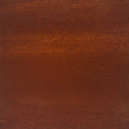 Decorazioni Muro Giardino 2 pz 55x55 cm Rosa in Acciaio Corten