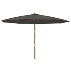 Ombrellone da Giardino con Palo in Legno Antracite 400x273 cm