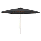 Ombrellone da Giardino con Palo in Legno Nero 400x273 cm