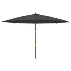 Ombrellone da Giardino con Palo in Legno Nero 400x273 cm
