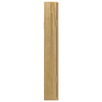 Armadio Portagioie con Specchio a Muro 37,5x10x67 cm