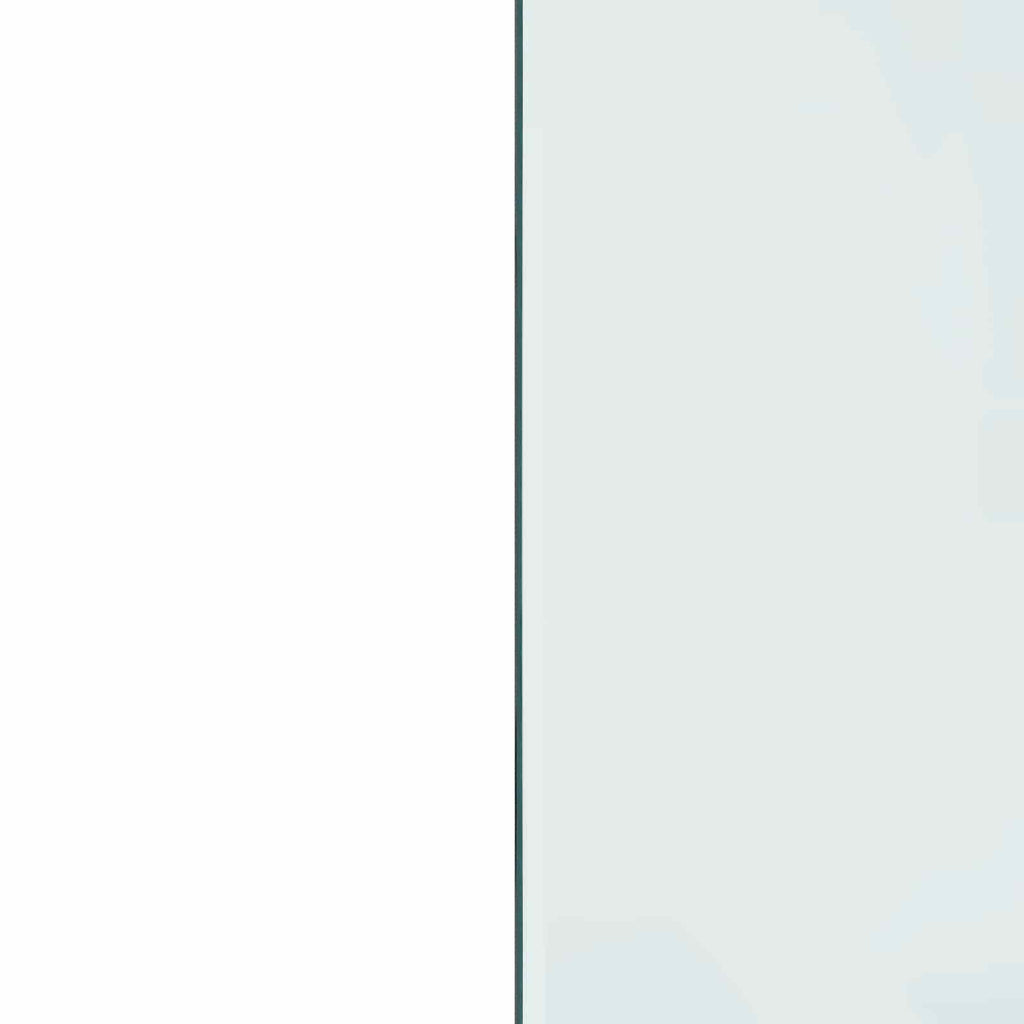 Piastra in vetro per camino Trasparente 80 x 50 cm Vetro