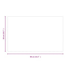 Piastra in vetro per camino Trasparente 80 x 50 cm Vetro