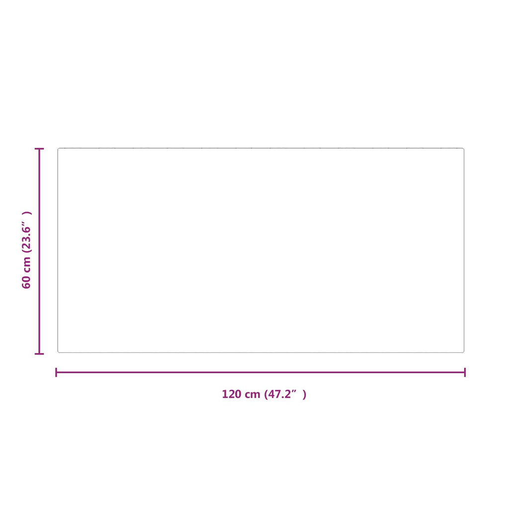 Piastra in vetro per camino Trasparente 120 x 60 cm Vetro