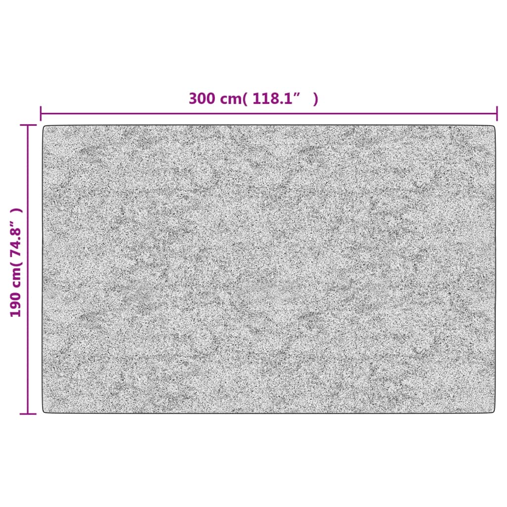 Tappeto Lavabile Nero e Bianco 190x300 cm