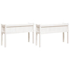 Fioriere da Giardino 2 pz con Gambe Bianche Legno Massello Pino