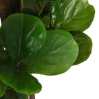 Albero Ficus Lyrata 232 Foglie 180 cm Verde