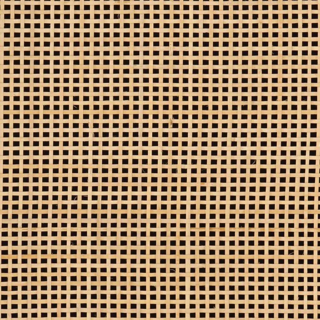 Comodino 40x30x50 cm in Legno Massello di Mango e Ferro