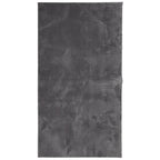 Tappeto a Pelo Corto HUARTE Morbido Lavabile Antracite 80x150cm