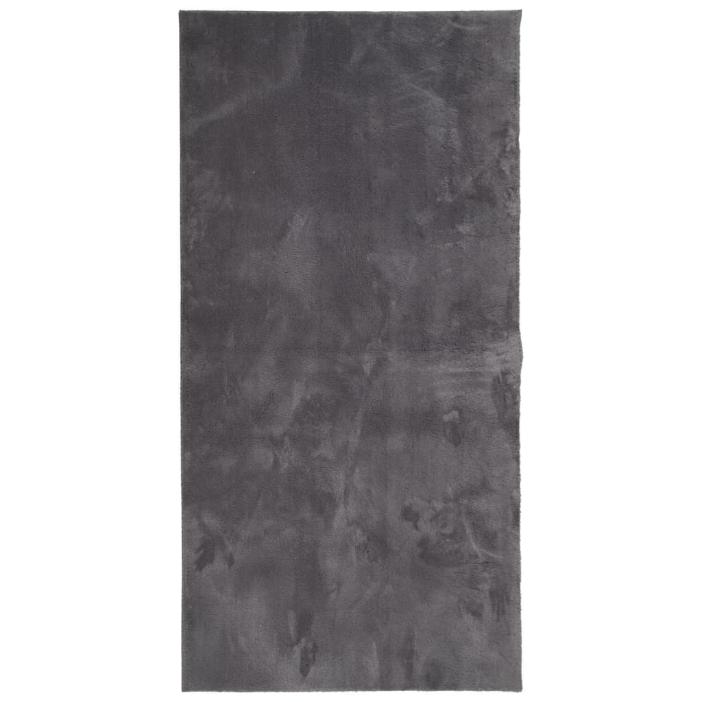 Tappeto Pelo Corto HUARTE Morbido Lavabile Antracite 100x200 cm