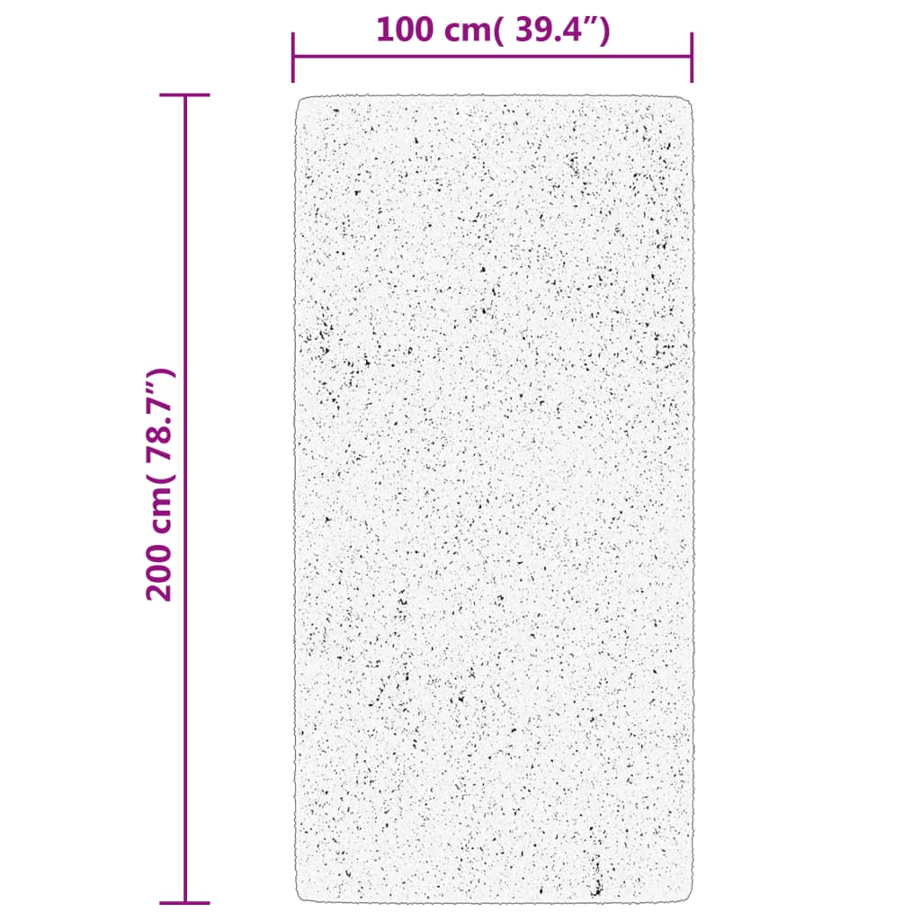 Tappeto Pelo Corto HUARTE Morbido Lavabile Antracite 100x200 cm