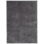 Tappeto Pelo Corto HUARTE Morbido Lavabile Antracite 160x230 cm