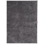Tappeto Pelo Corto HUARTE Morbido Lavabile Antracite 200x280 cm