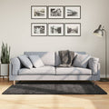Tappeto Shaggy PAMPLONA Pelo Lungo Moderno Antracite 120x170cm