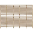 Divisorio per Ambienti a 5 Pannelli Beige in Polyrattan