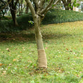 Rotolo in Iuta 0,25x50 m 100% Iuta 200 gsm